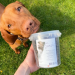 Snack'it Semi-Moist Mini Bones | 500g